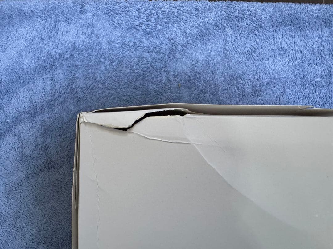 未組立 海外版 RG SAZABI コアメッキ