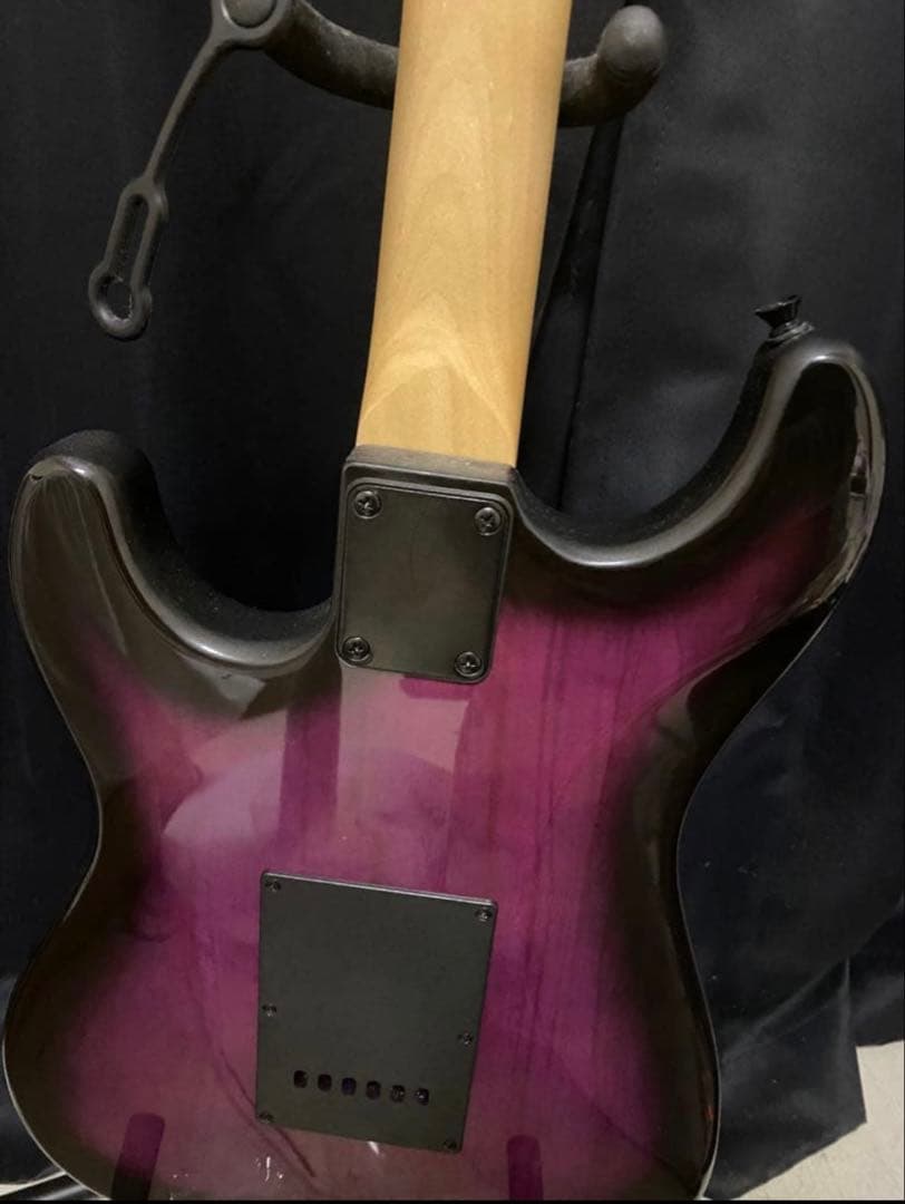 特殊加工 Skull&Roses Blackparts エレキギター