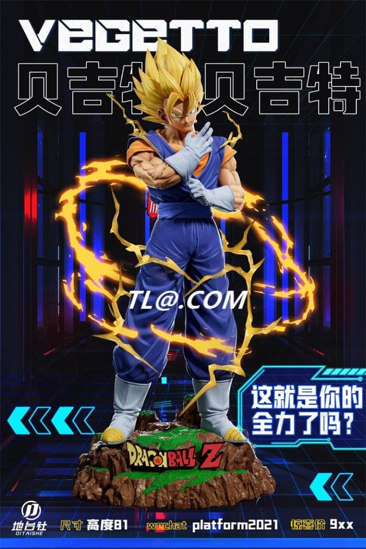 新品未開封『ドラコンボール』　スーパー　ベジット　 ガレージキット スタチュー