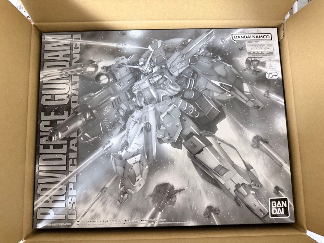 【新品未使用】ＭＧ1/100 プロヴィデンスガンダム [スペシャルコーティング]