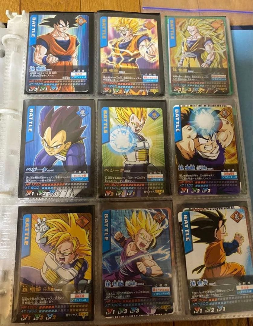 専用　プラスゴジータ