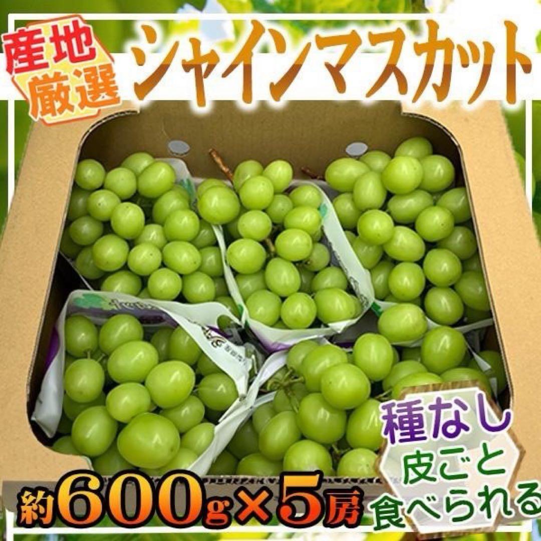 産地厳選　シャインマスカット　5房　1房約600ｇ　クール便発送