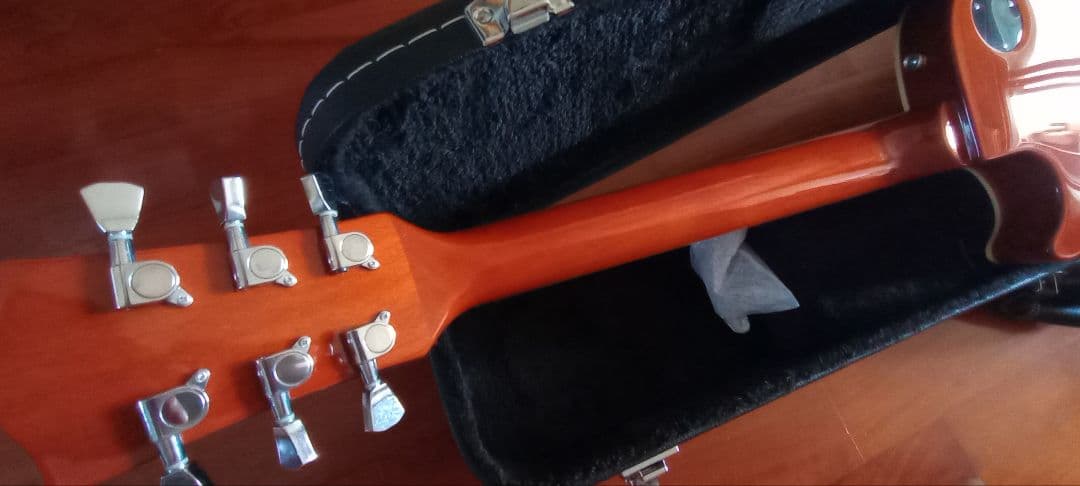 バッカス BLP-STD 1956 GT 限定モデル 極美品 ハードケース付き