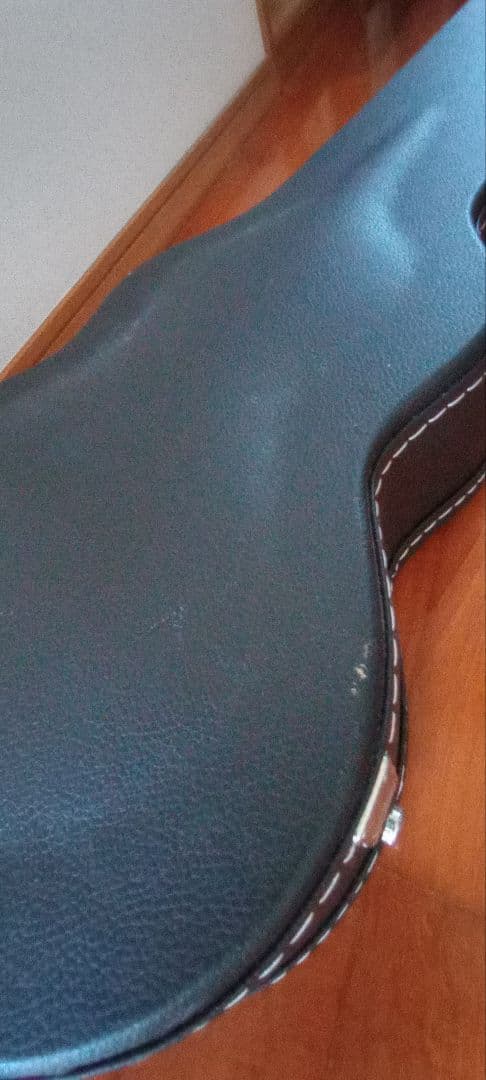 バッカス BLP-STD 1956 GT 限定モデル 極美品 ハードケース付き