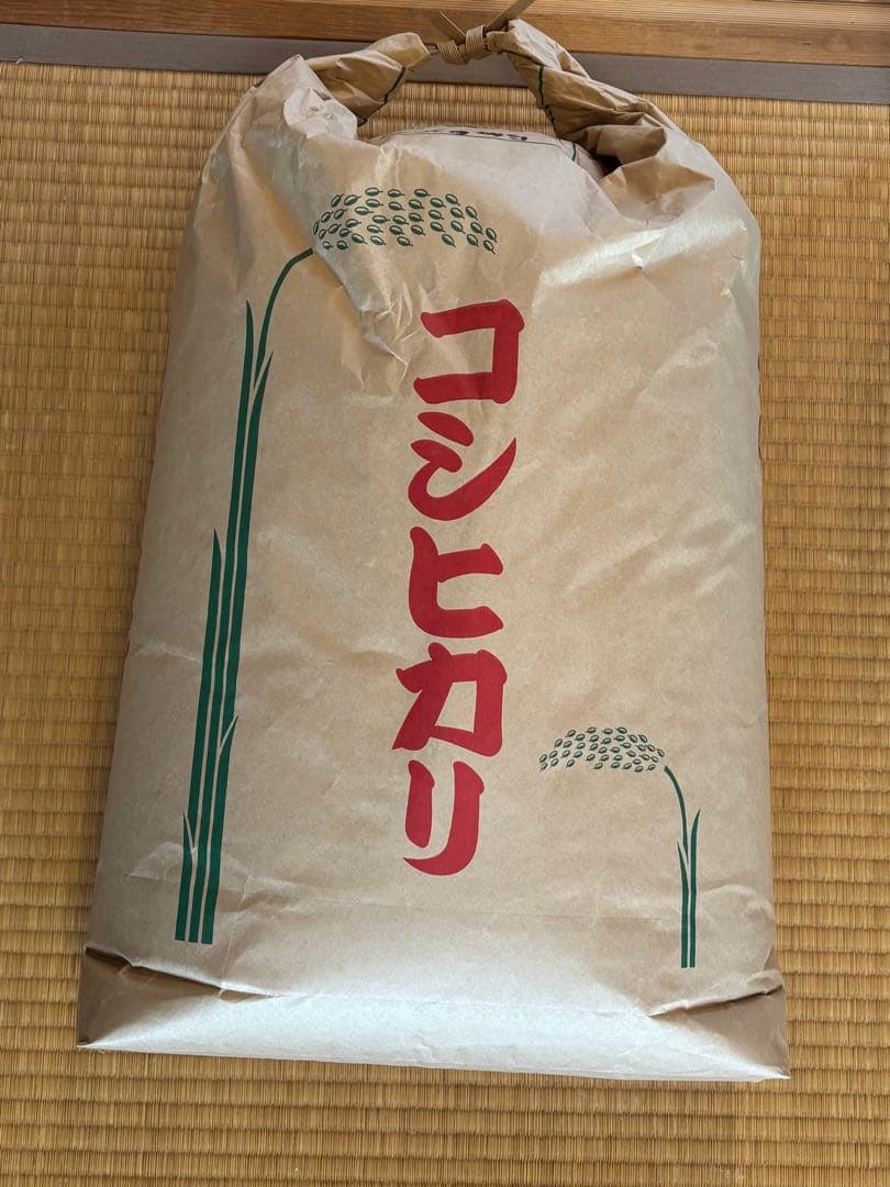令和6年福島県会津産コシヒカリ白米27キロ　古米