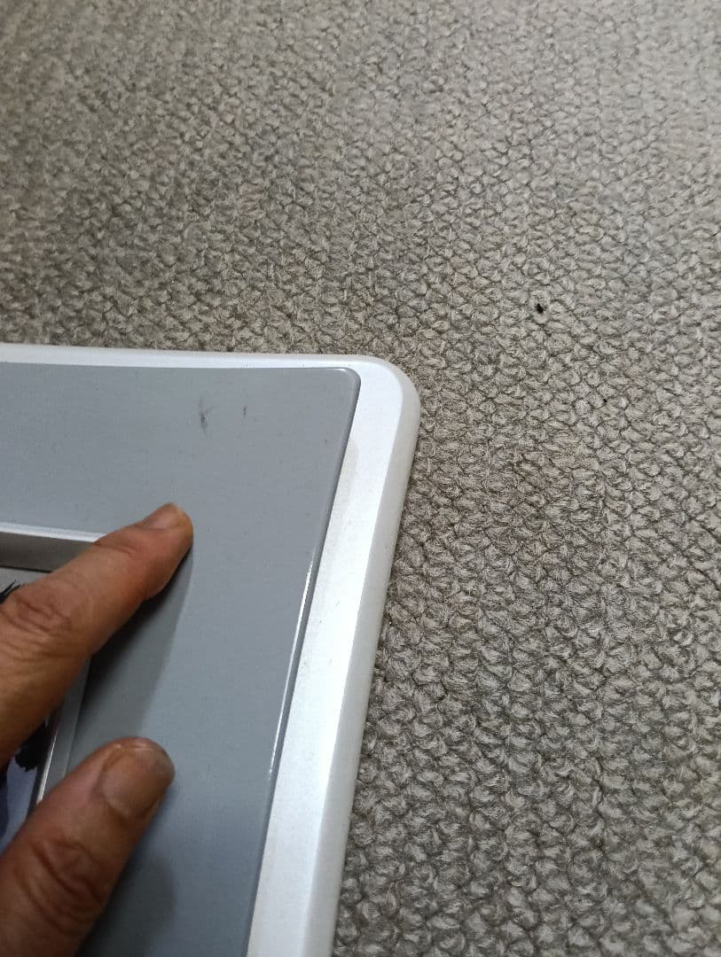 片岡鶴太郎　大鷹　水墨画 　色紙に墨　 ※購入前にコメント下さい