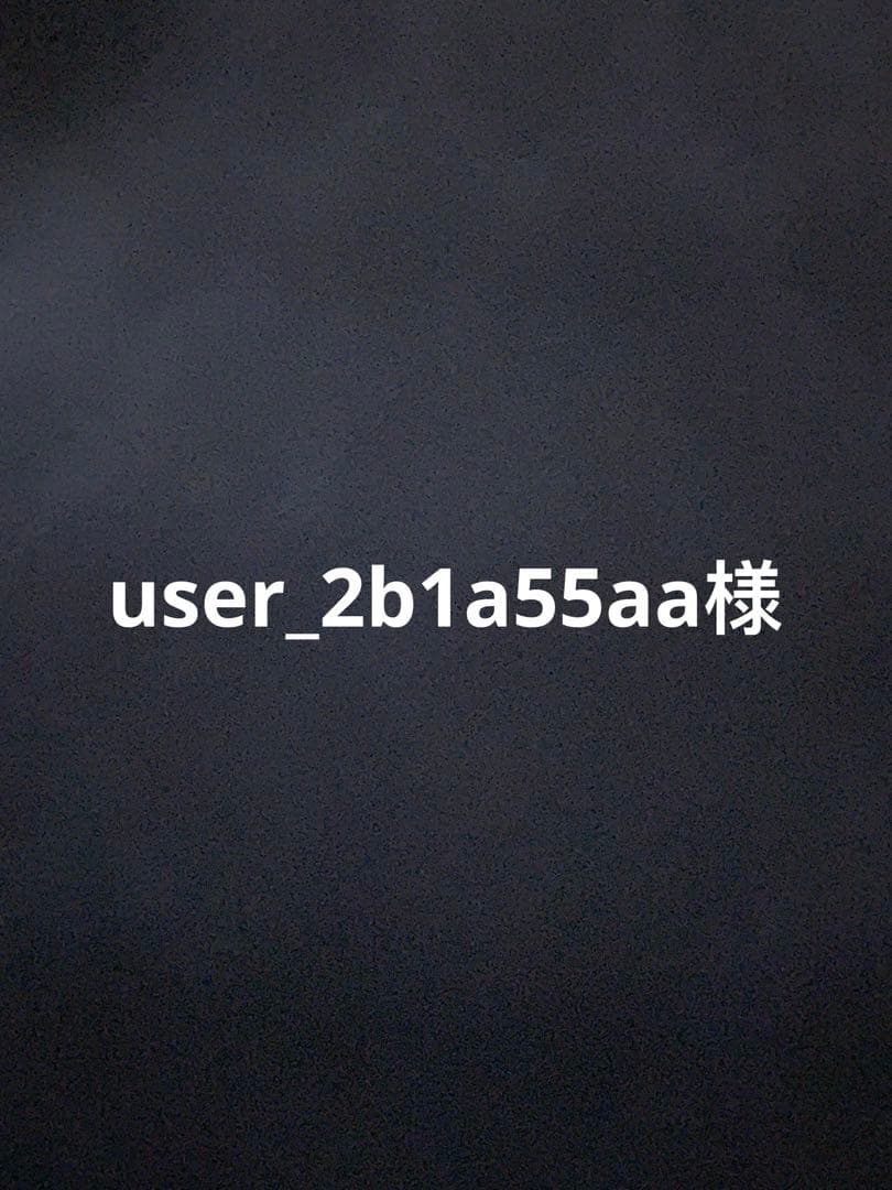 user_2b1a55aa様 エース