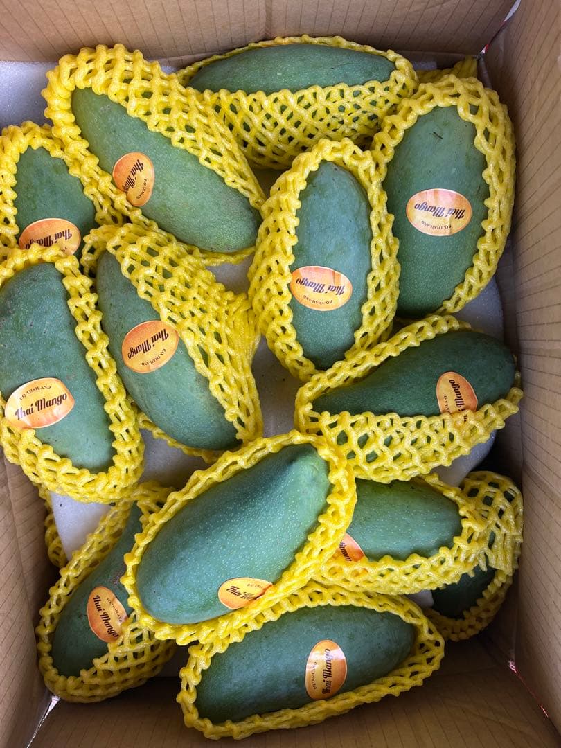 甘いグリーンマンゴー 5キロ クール便込み