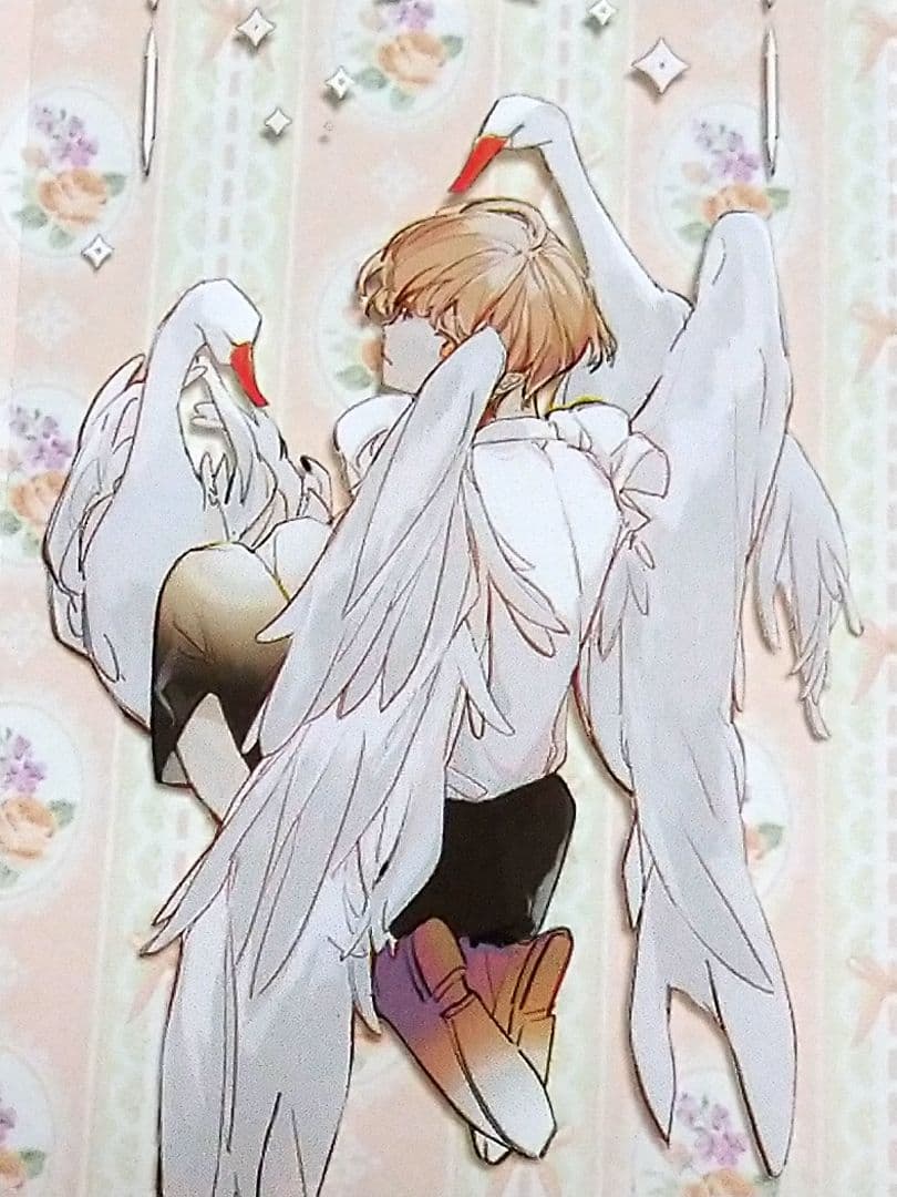 ✩SALE✩J155＃野天鹅(PET)Notte切り売り海外人物マステ男の子女子