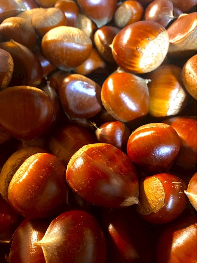 冷凍むき栗　3キロ　10袋分　今年ラスト