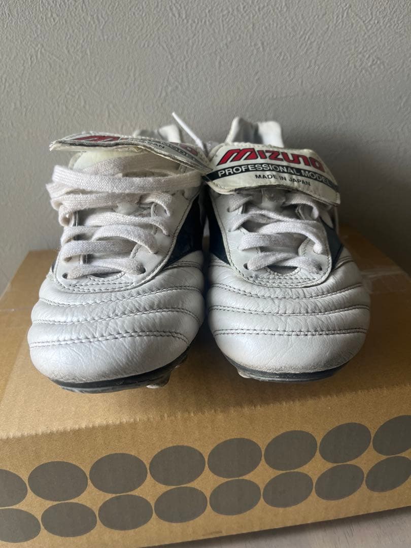 モレリア　希少タンあり　23.0