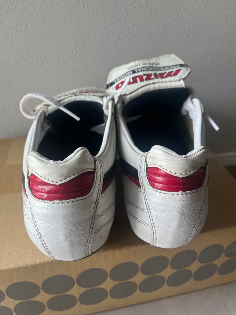 モレリア　希少タンあり　23.0