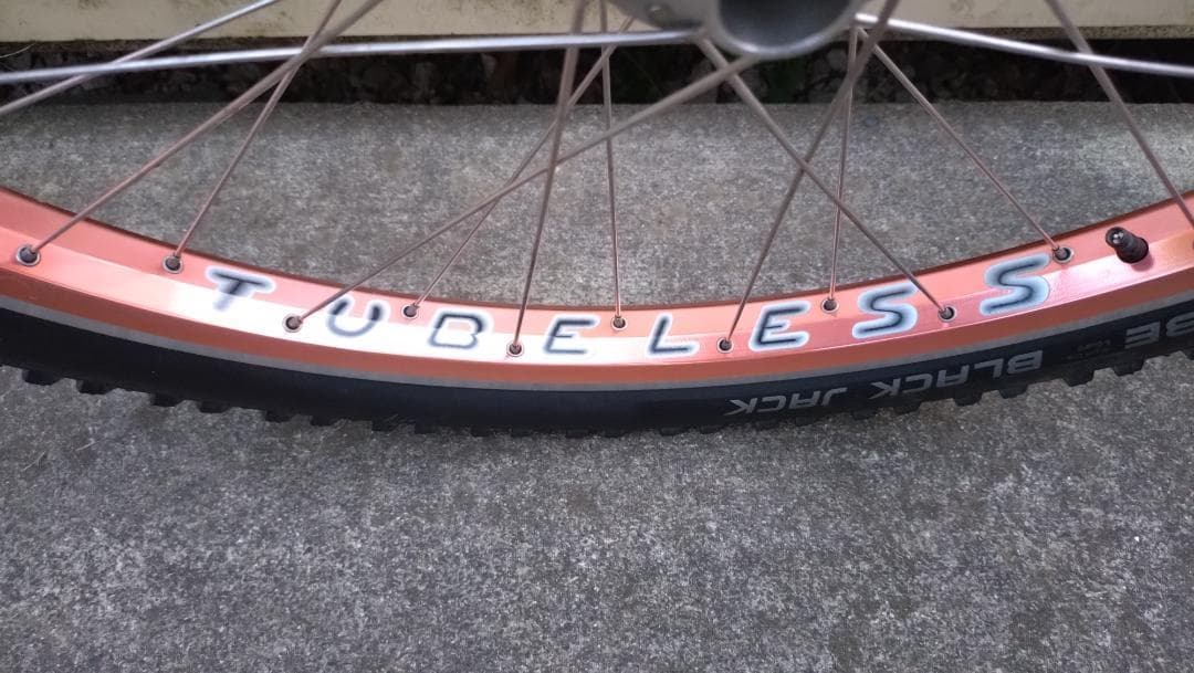 MAGURA Gustav M Rigida DH30 SAPIM 前後セット