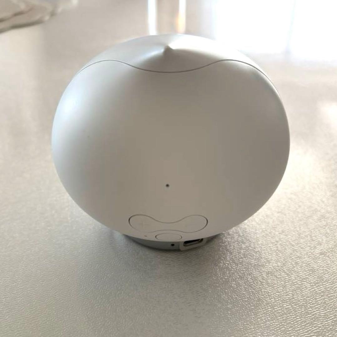 Romi ロミィ　AI搭載おしゃべりロボット