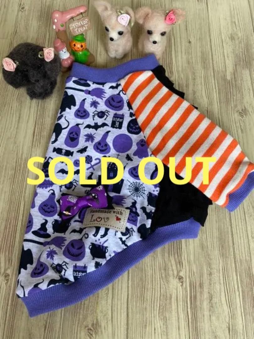 犬服  ラグラン(M)   ꒡̈⃝Lily꒡̈⃝ハンドメイド   ハロウィン