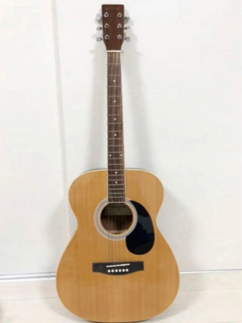 HONEY BEE ハニービー アコギ F-15