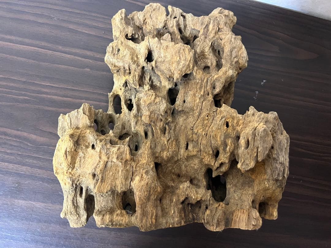 XM-350 流木　マシンガンウッド　アクアリウム　ブランチウッド