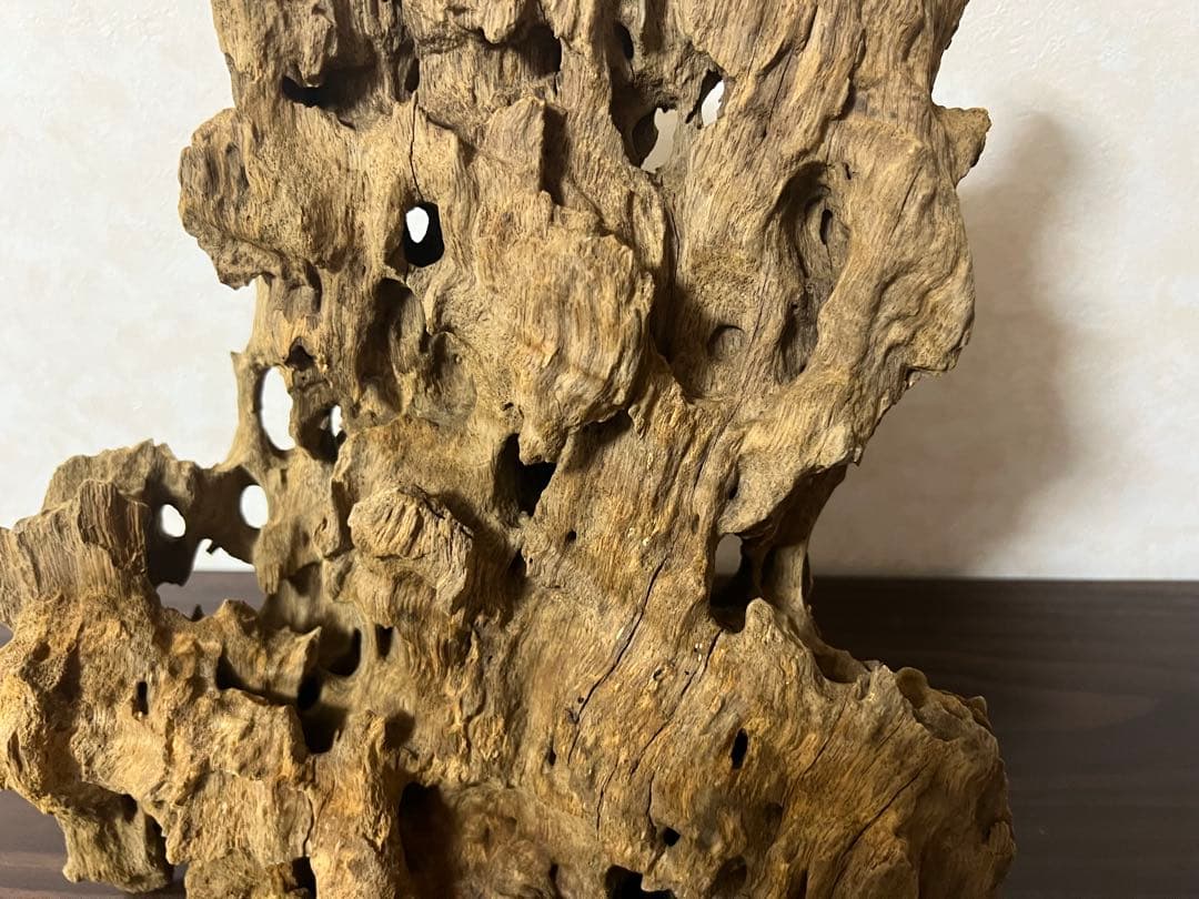 XM-350 流木　マシンガンウッド　アクアリウム　ブランチウッド