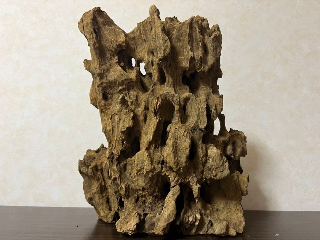 XM-350 流木　マシンガンウッド　アクアリウム　ブランチウッド