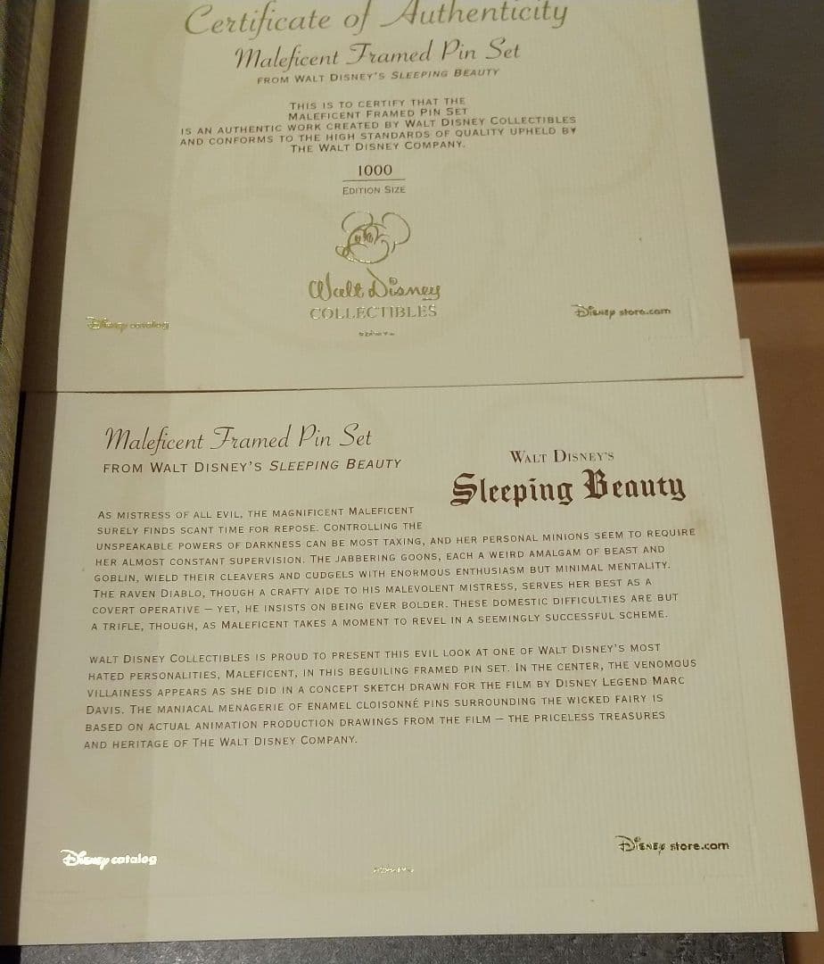 よ*ン様 ２５年～３０年前 ディズニー ヴィランズの絵画(額縁つき)