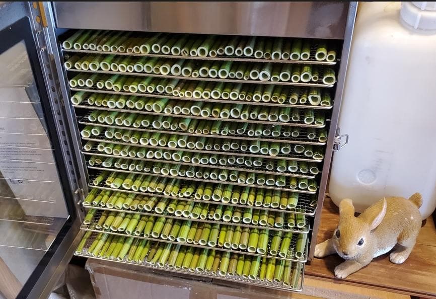 大容量　7000g　(国産・高品質)乾燥パパイヤの茎（無農薬・有機肥料）