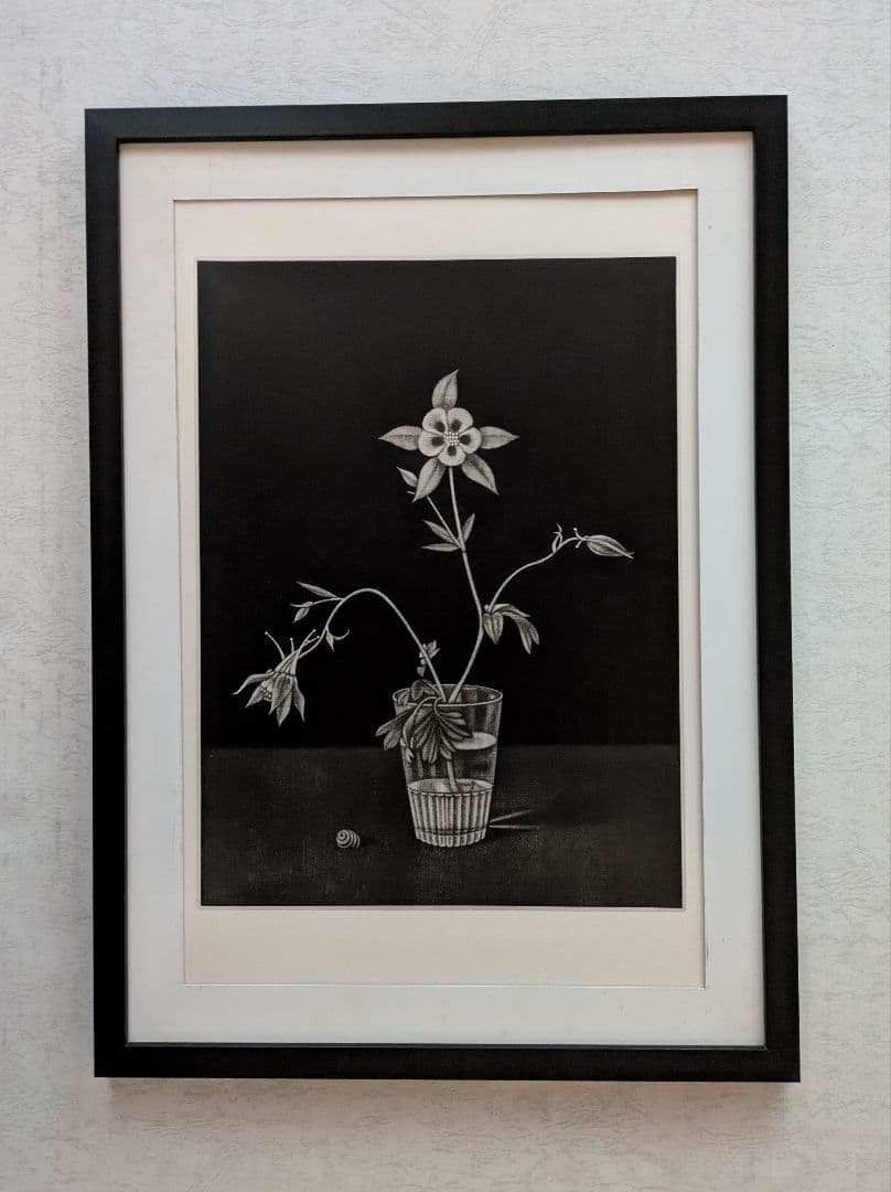 c長谷川潔の500部限定作品 「コップに挿したアンコリの花」 真作保証