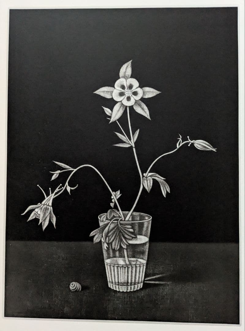 c長谷川潔の500部限定作品 「コップに挿したアンコリの花」 真作保証