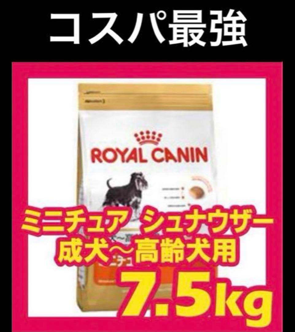 年末セール！２個セット CANIN ミニチュアシュナウザー 7.5kg