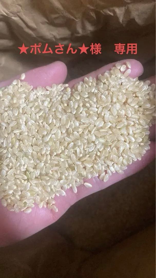 R7新米　コシヒカリ　30キロ　離島以外送料込み