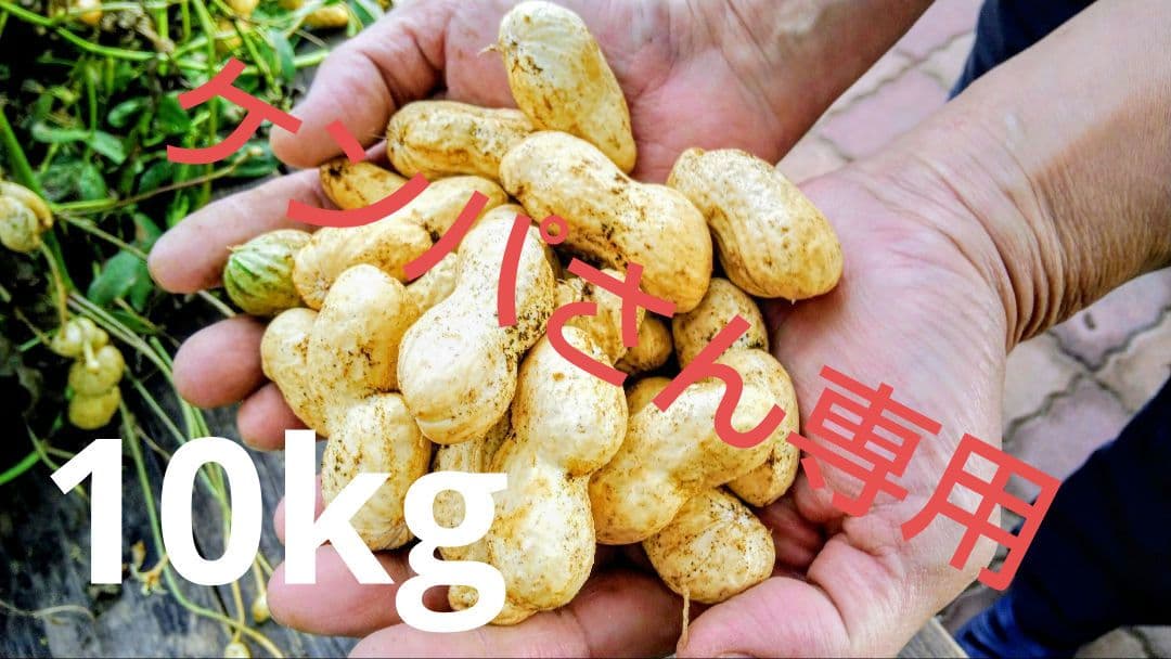 落花生　おおまさり