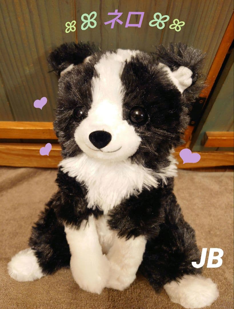くったりボーダーコリー  ネロ  JB