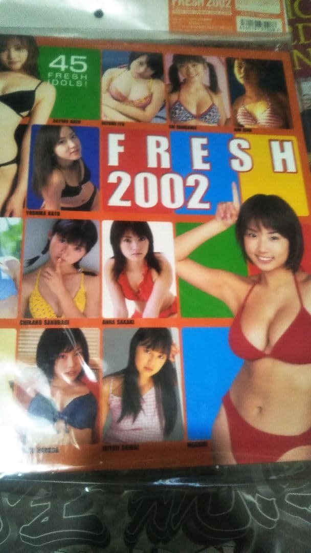 FRESH 2002 タレント　バインダー