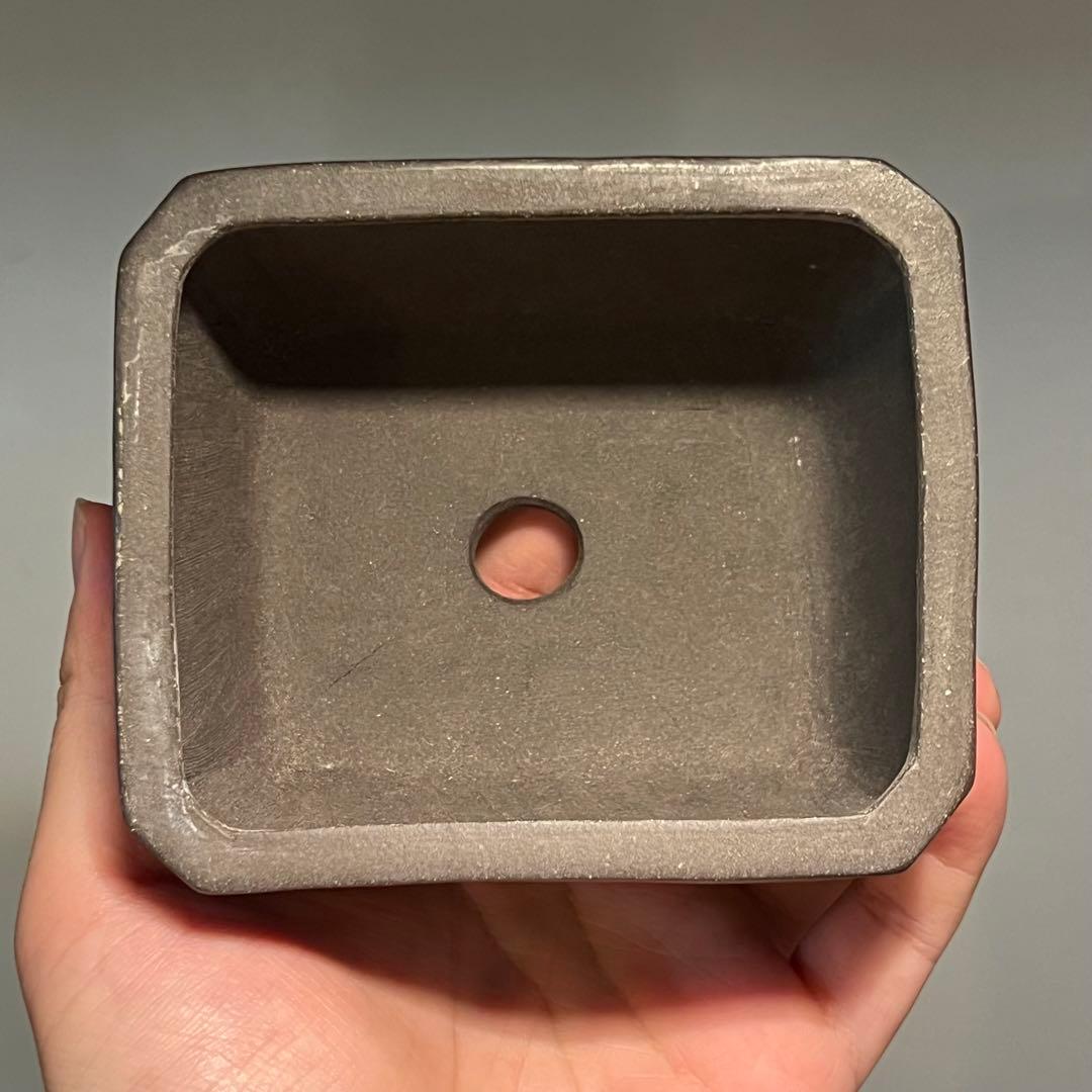 823.石心 灰泥彫刻唐獅子切角長方 盆栽鉢 植木鉢 10.7*9*5.5cm