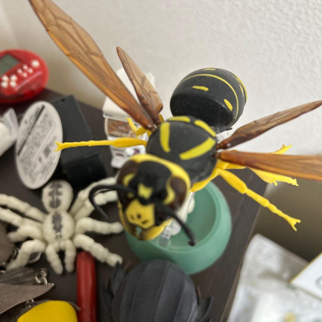 ハチの標本 黒と黄色 約15cm
