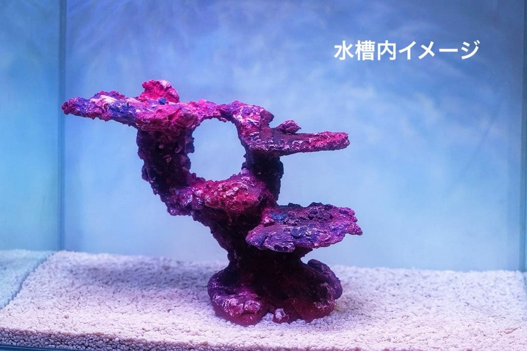 人工ライブロック RR79 アク抜き済み安心塗料使用