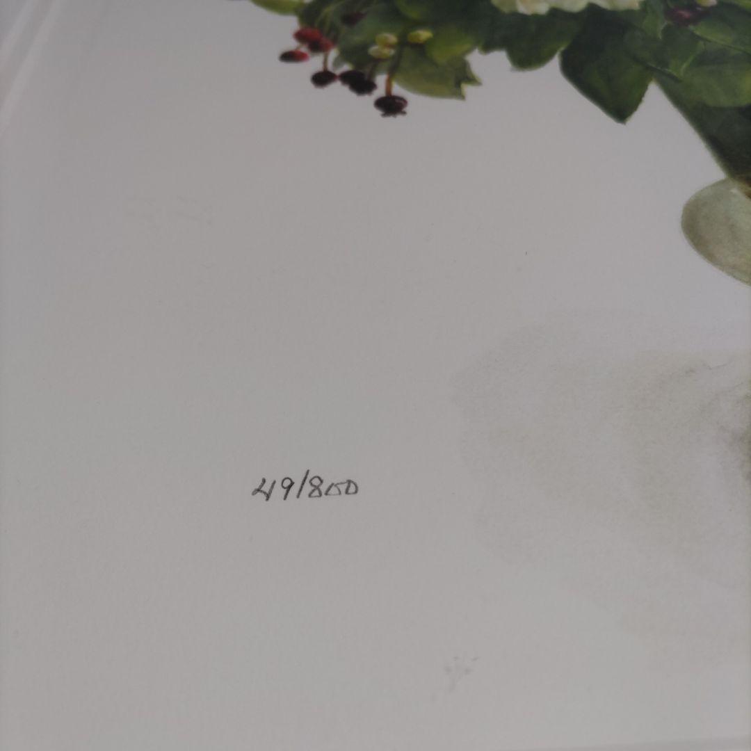 橋本 不二子 限定版画 額装 ☆直筆サイン・エディション有り ☆大判サイズ