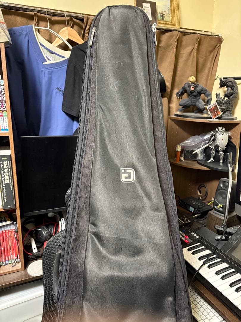 igig ベース用ギグバッグ