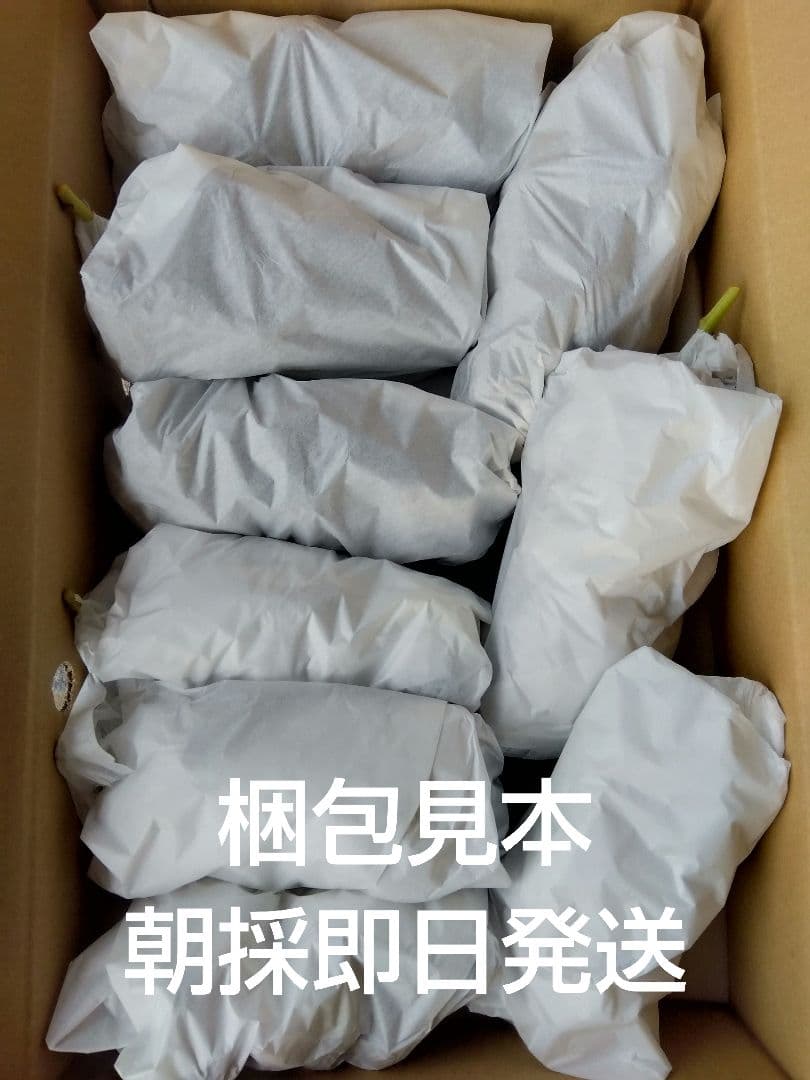 みーたんV希少わら敷種あり完熟巨峰、シャインマスカット 長野産3Kg✕2