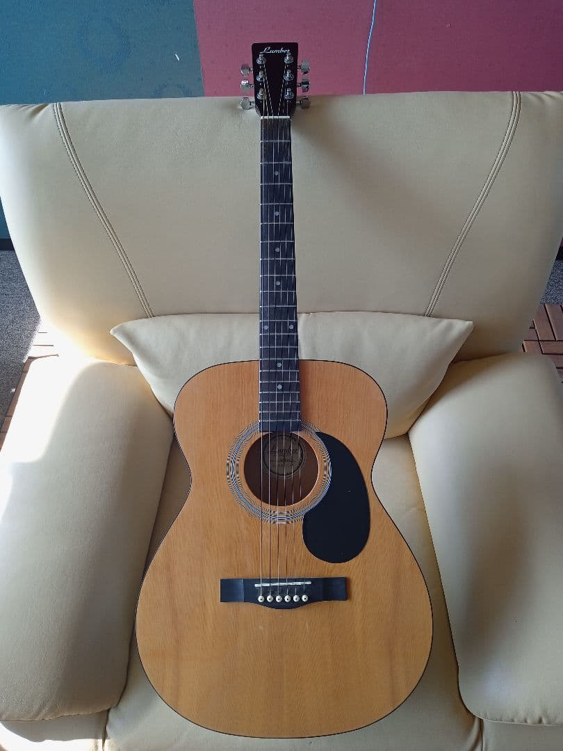 Lumber アコースティックギター ギターケース付き