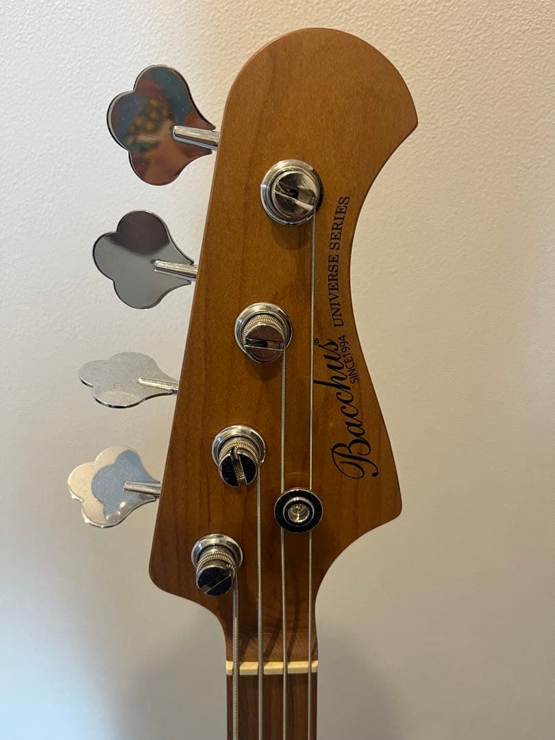 Bacchus エレキベース 4弦 使用頻度少なめ　BASS