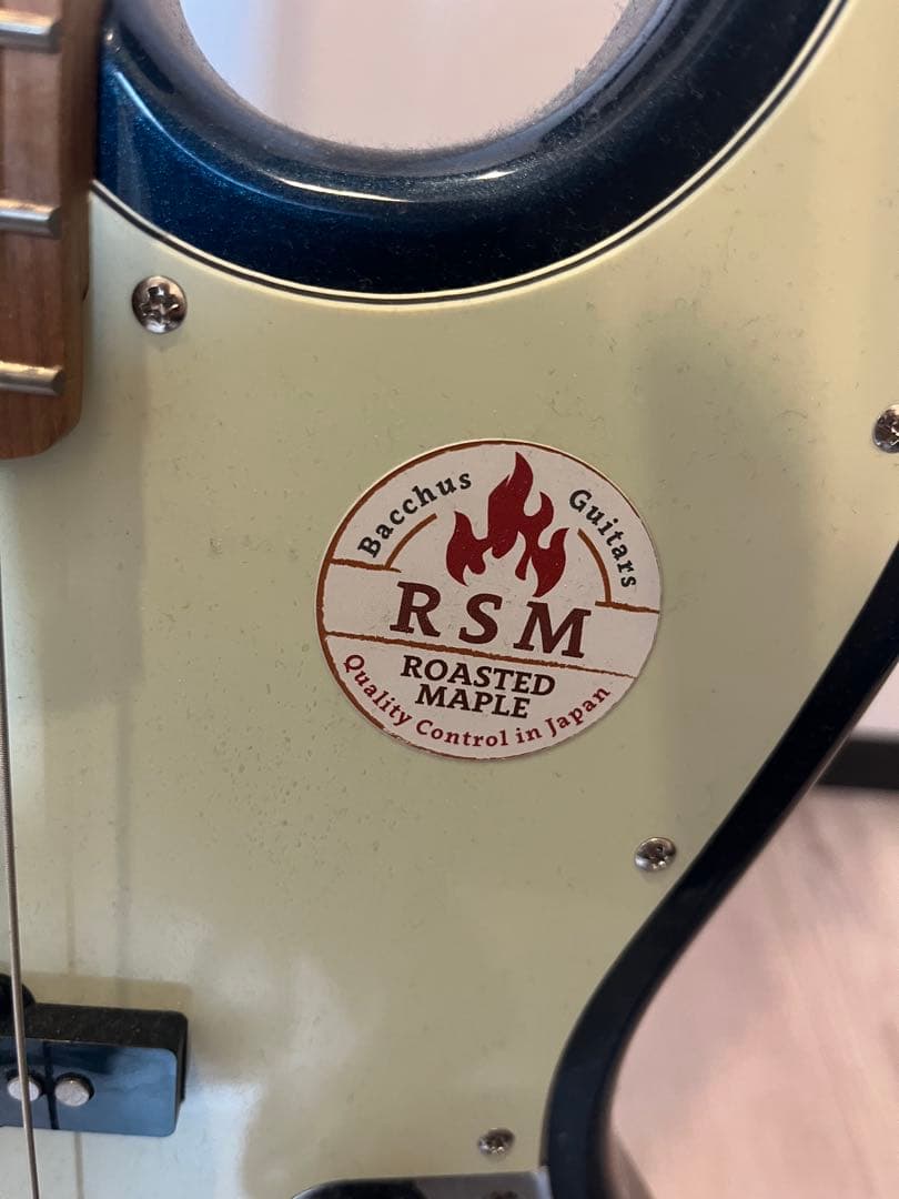 Bacchus エレキベース 4弦 使用頻度少なめ　BASS