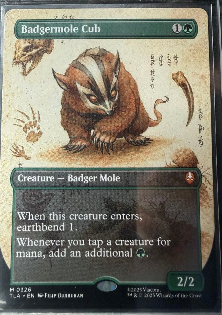 MTG アナグマモグラの仔/Badgermole Cub
