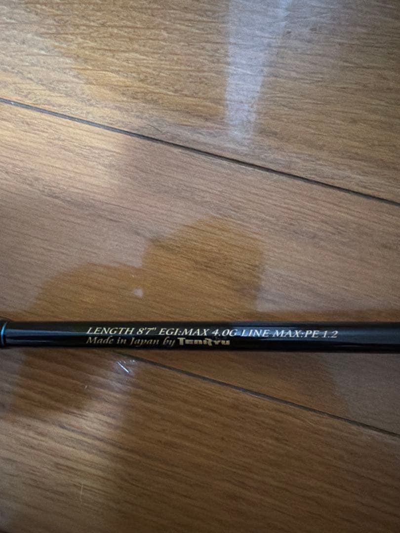 天龍（TenRyu） ブリゲイドグレイスGC87MH エギングロッド