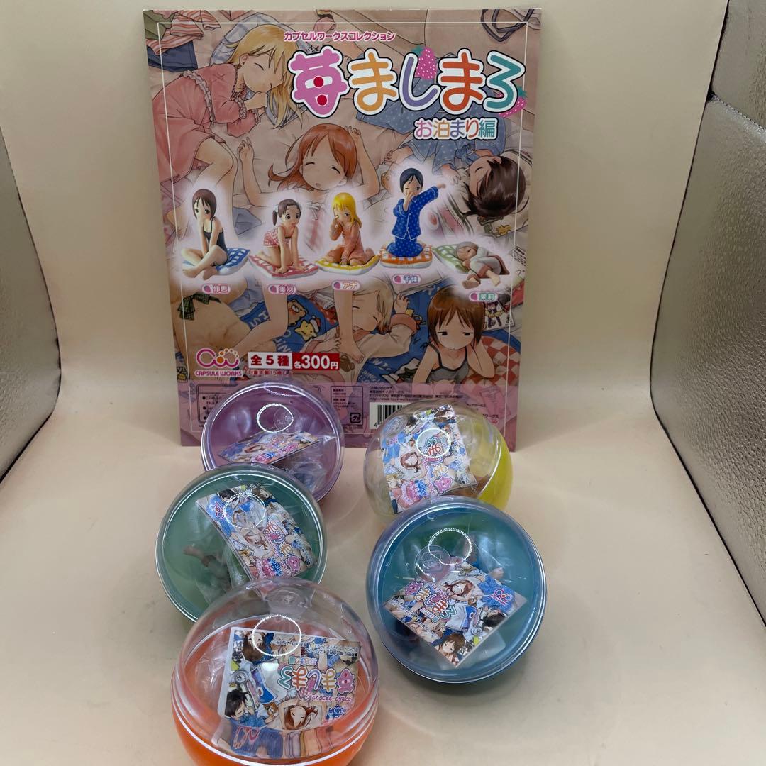 苺ましまろ お泊まり編 台紙　全5種 カプセルワークス