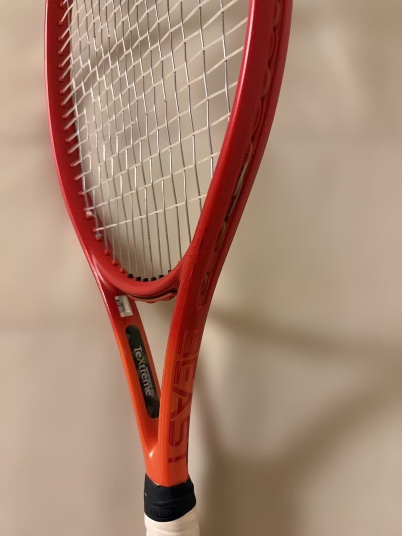 プリンス　BEAST100 300g