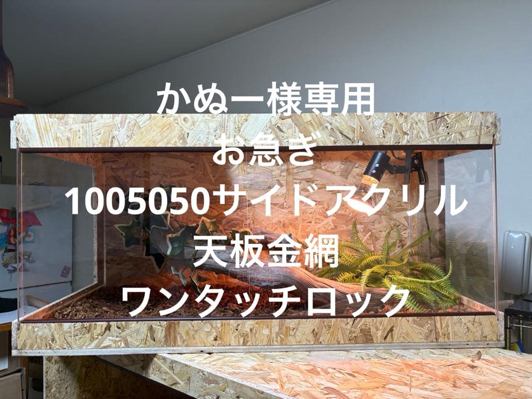 かぬー　1005050お急ぎ