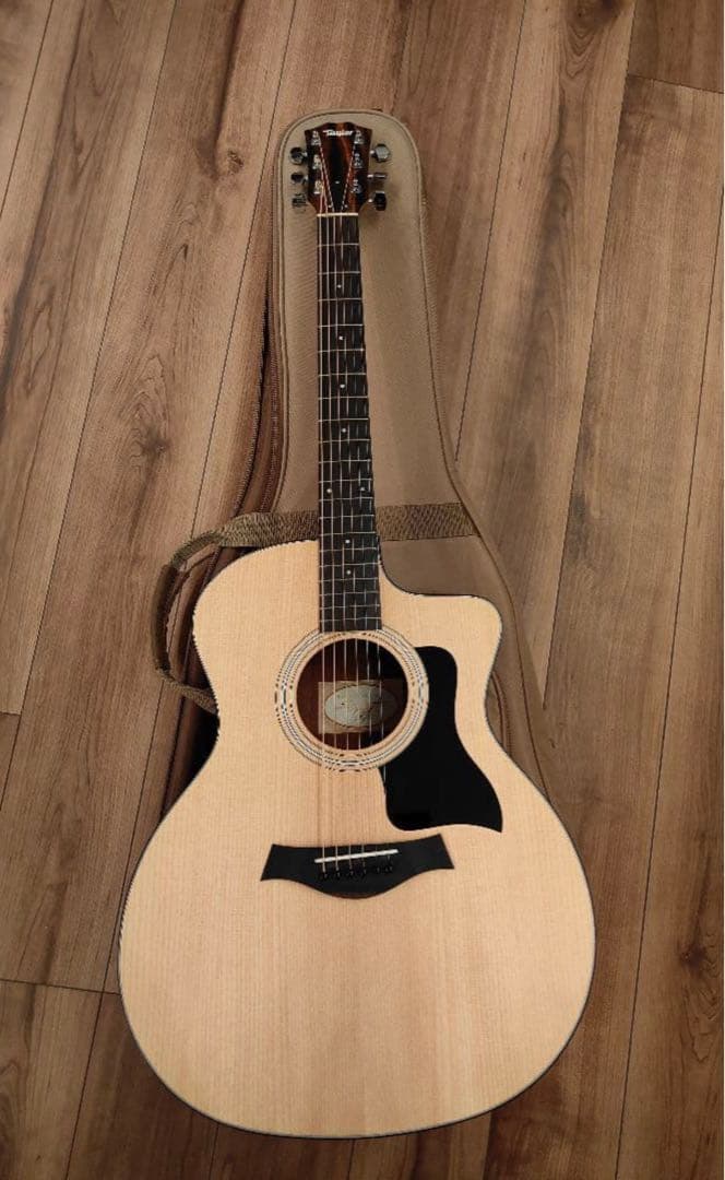 Taylor 114ce アコースティックギター専用ケース付き