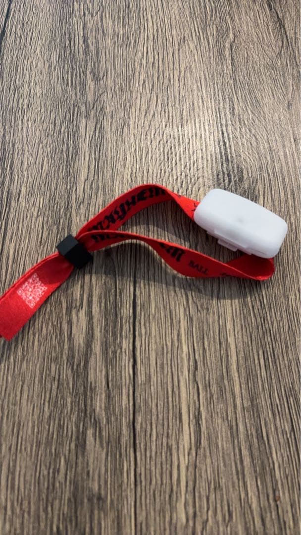 ミュージシャン Lady Gaga The Mayhem Ball VIP Gold Merch