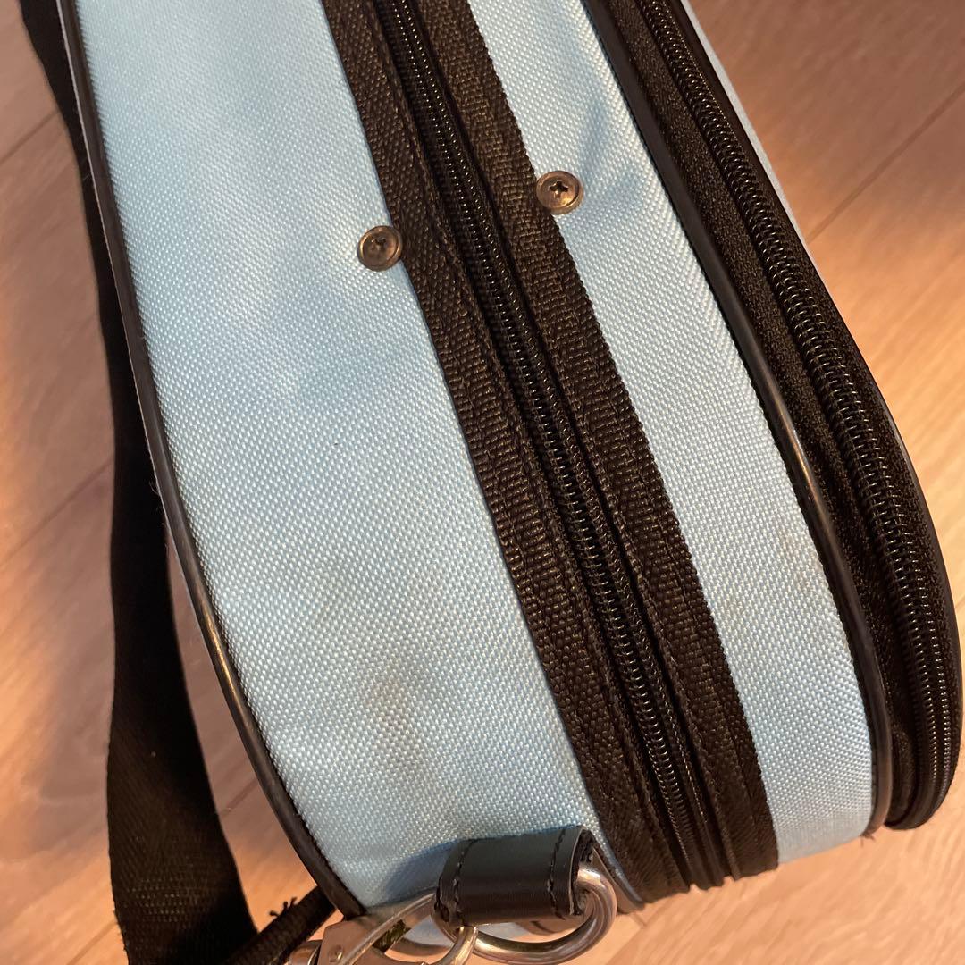 分数バイオリン　3/4 カルロジョルダーノ　VS-1 2022年