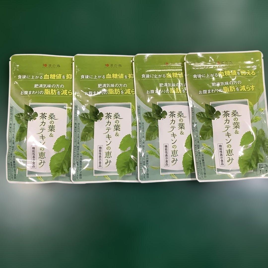 漢方セレクト 桑の葉&茶カテキンの恵み 120粒 4袋